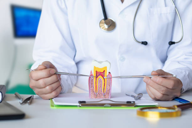 Best Emergency TMJ Treatment in Mckenzie, TN